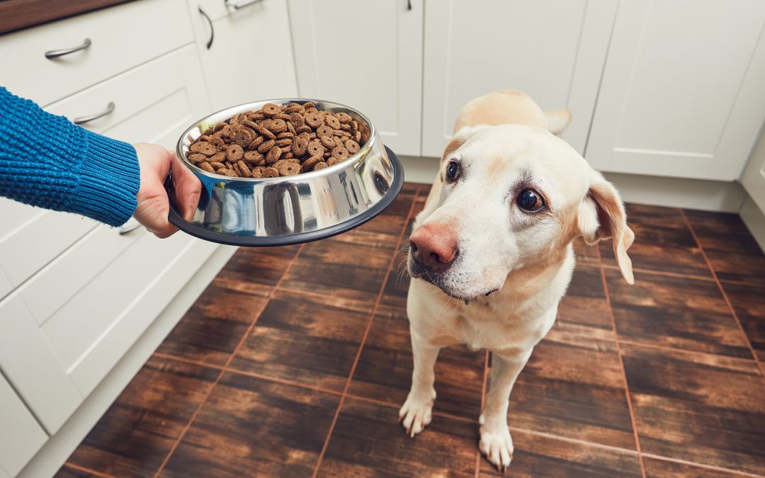 FDA Alerts Pet Owners about Potentially Toxic Levels of Vitamin D in Several Dry Pet Foods