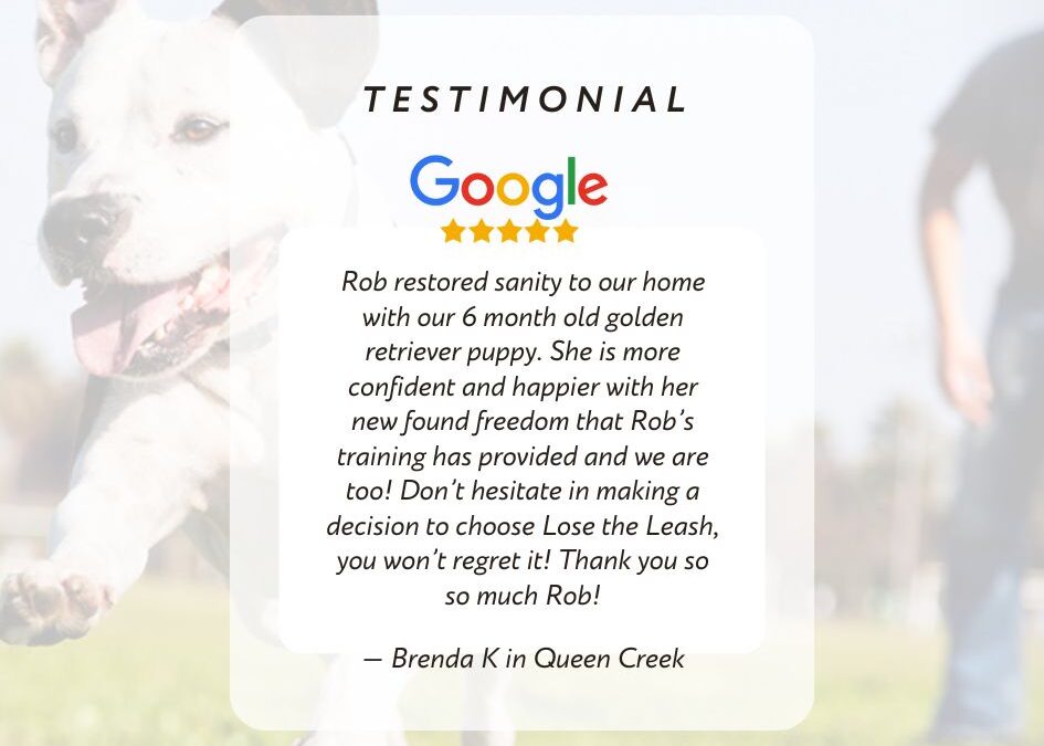 5 Star Review Lose The Leash Queen Creek Dog Training
